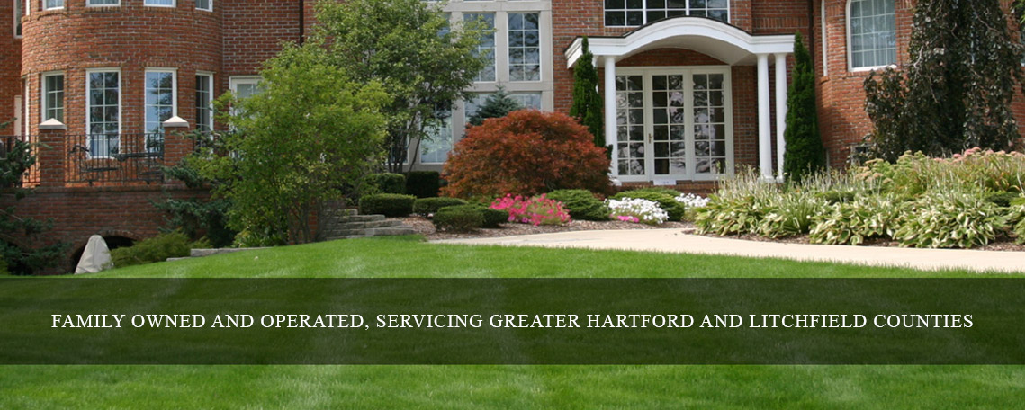 Talcott Mountain Lawn Care